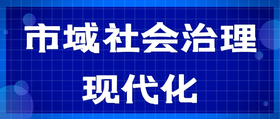 持续提升市域社会治理效能