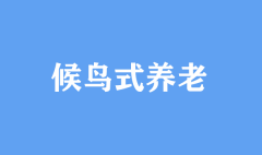 候鸟式养老 新思维拓展养老新空间